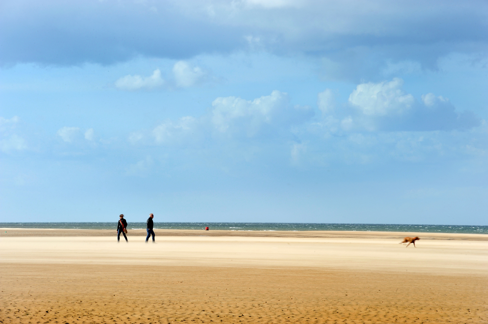 A couple walking their dog on the beach near Burnham Overy Staithe, Norfolk, UK